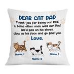 Being Papa Pillows