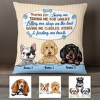 Parent Pillows