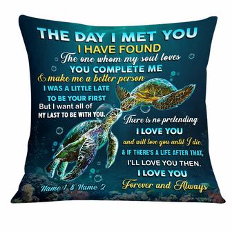 Personalized Turtle Couple The Day I Met You Pillow - Thegiftio UK