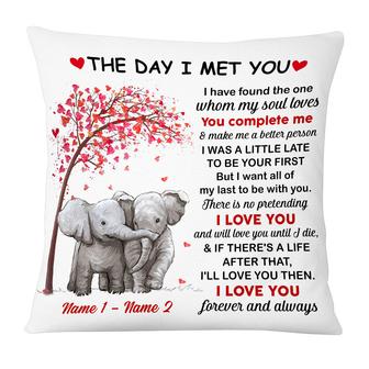 Personalized Elephant Couple The Day I Met You Pillow - Thegiftio UK