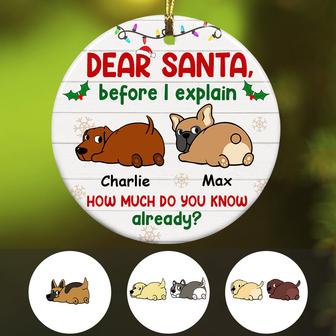 Personalized Dog Christmas Dear Santa Before I Explain Ornament - Thegiftio UK