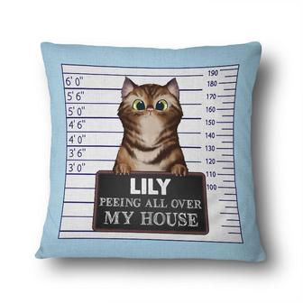 Cat Lovers Peeing Crime Personalized Pillow - Gift for Cats - Thegiftio UK