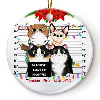 We Knocked Down Personalized Ornament - Gift for Cat Lovers - Thegiftio UK