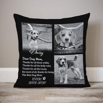 Thanks For All Those Walks Personalized Pillow - Gift - Thegiftio UK