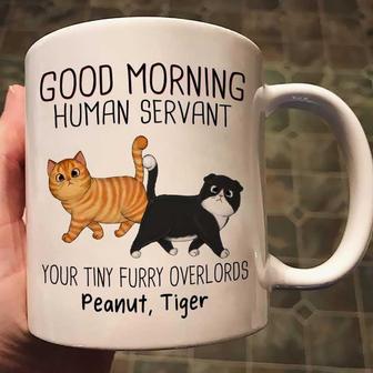 Walking Fluffy Cats Good Morning Custom Mug - Gift for Cats - Thegiftio UK