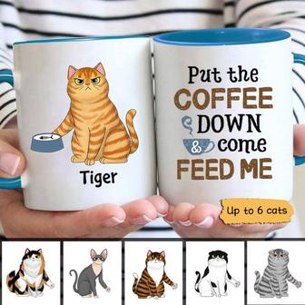 Put Coffee Down & Feed Us Fluffy Cats Custom Mug - Thegiftio UK