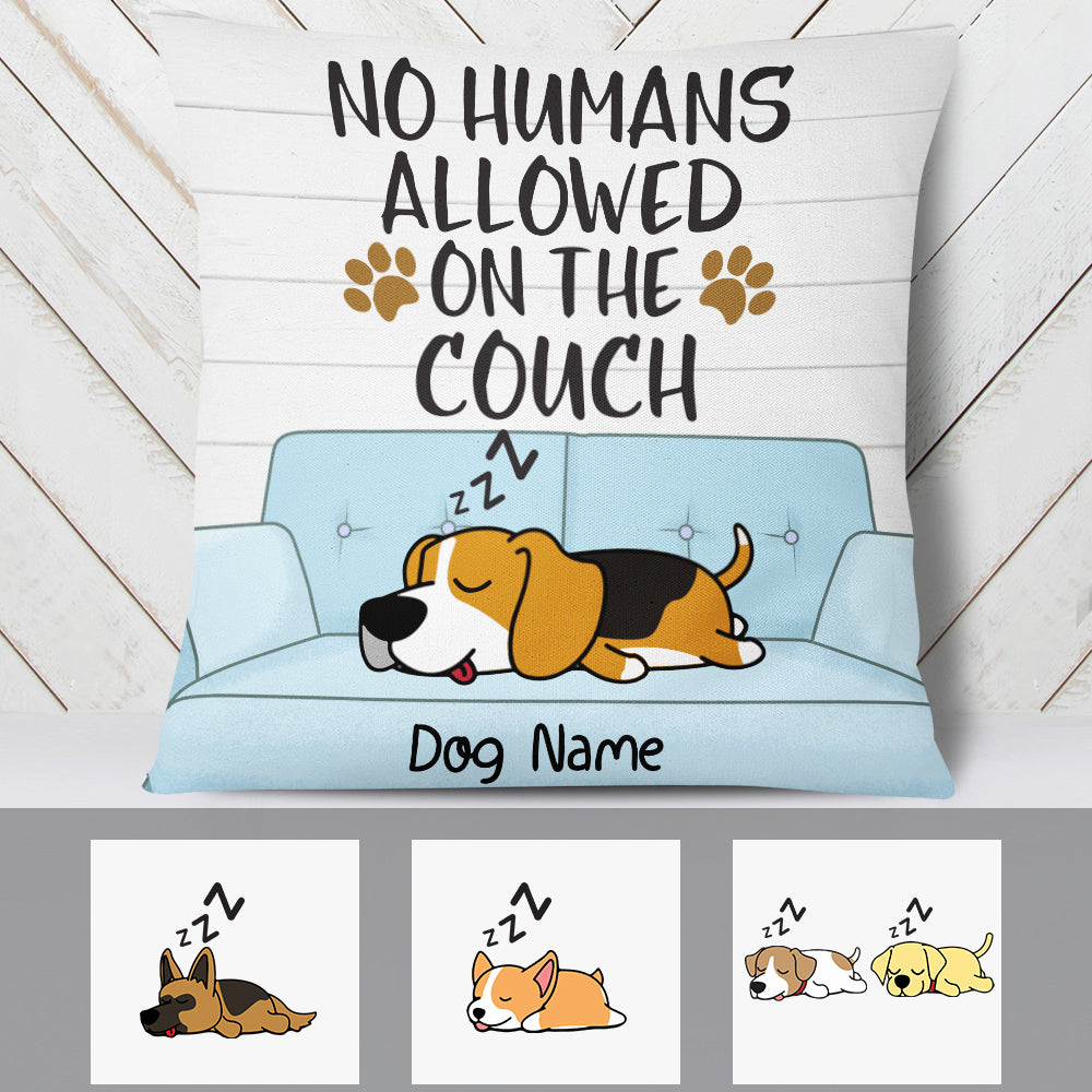 Personalized No Humans Allowed On The Couch Pillow - Thegiftio UK