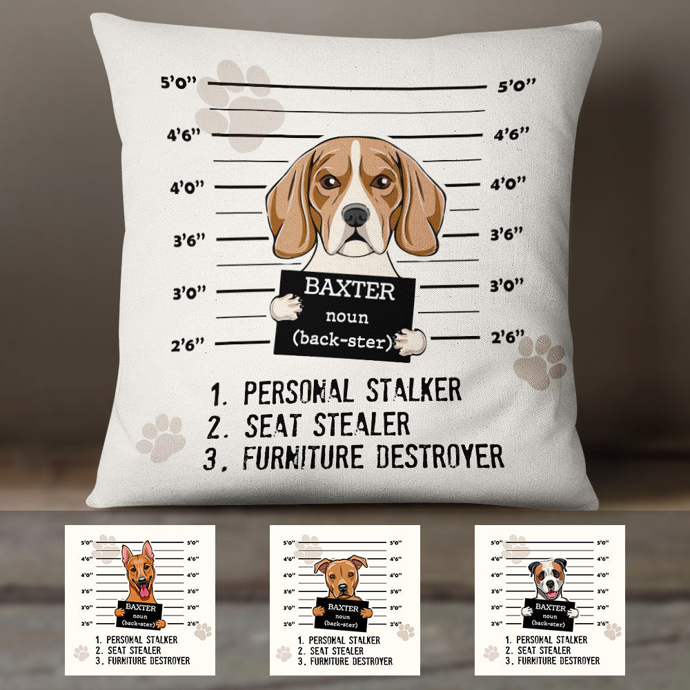 Personalized Dog Definition Criminal Pillow - Thegiftio